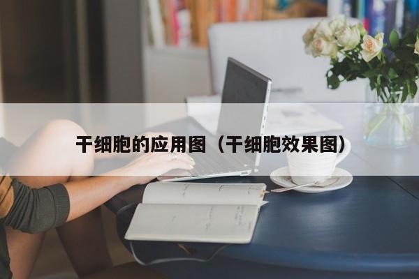 干细胞的应用图（干细胞效果图）