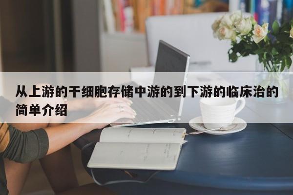 从上游的干细胞存储中游的到下游的临床治的简单介绍