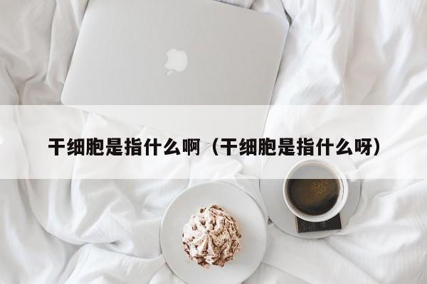 干细胞是指什么啊（干细胞是指什么呀）