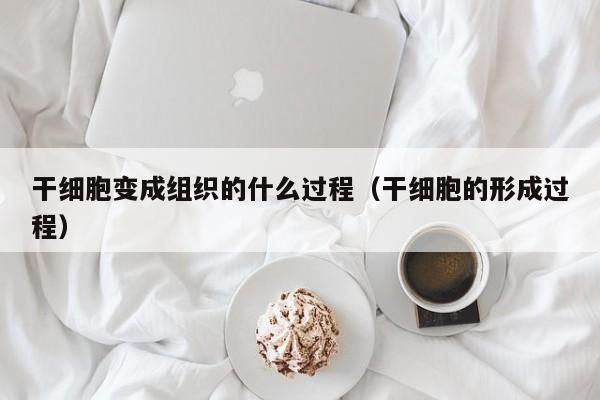 干细胞变成组织的什么过程（干细胞的形成过程）