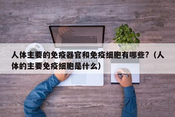 人体主要的免疫器官和免疫细胞有哪些?（人体的主要免疫细胞是什么）