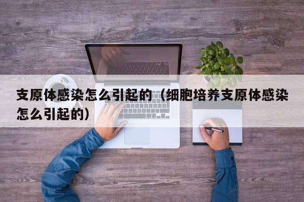 支原体感染怎么引起的（细胞培养支原体感染怎么引起的）