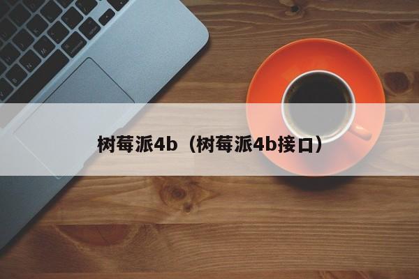 树莓派4b（树莓派4b接口）