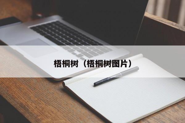 梧桐树（梧桐树图片）