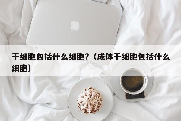 干细胞包括什么细胞?（成体干细胞包括什么细胞）