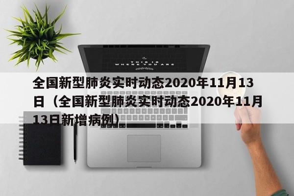 全国新型肺炎实时动态2020年11月13日（全国新型肺炎实时动态2020年11月13日新增病例）