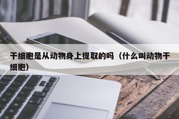 干细胞是从动物身上提取的吗（什么叫动物干细胞）