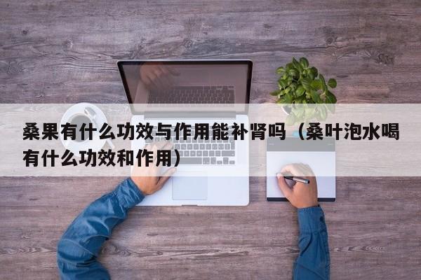 桑果有什么功效与作用能补肾吗（桑叶泡水喝有什么功效和作用）