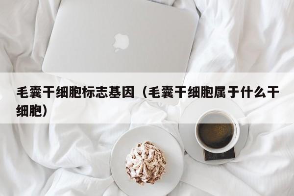 毛囊干细胞标志基因（毛囊干细胞属于什么干细胞）