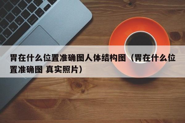 胃在什么位置准确图人体结构图（胃在什么位置准确图 真实照片）