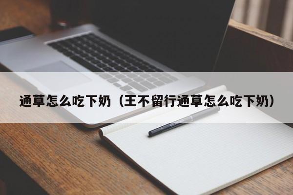 通草怎么吃下奶（王不留行通草怎么吃下奶）