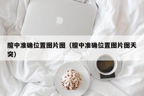 膻中准确位置图片图（膻中准确位置图片图天突）