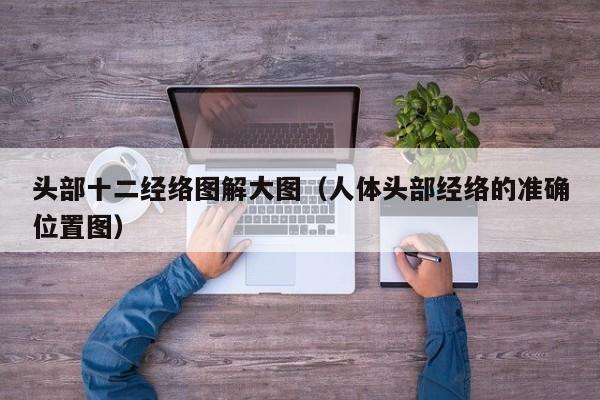 头部十二经络图解大图（人体头部经络的准确位置图）