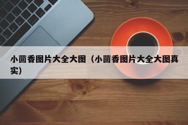 小茴香图片大全大图（小茴香图片大全大图真实）