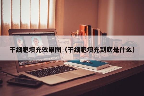 干细胞填充效果图（干细胞填充到底是什么）