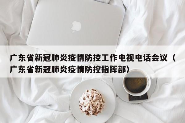 广东省新冠肺炎疫情防控工作电视电话会议（广东省新冠肺炎疫情防控指挥部）