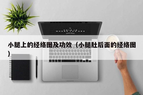 小腿上的经络图及功效（小腿肚后面的经络图）