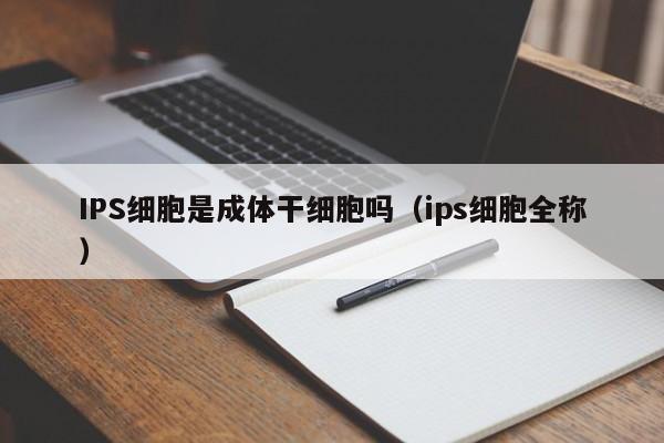 IPS细胞是成体干细胞吗（ips细胞全称）