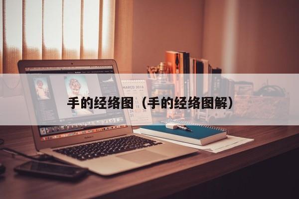 手的经络图（手的经络图解）