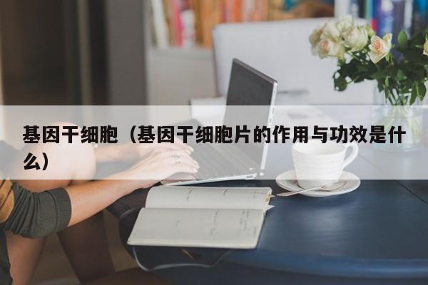 基因干细胞（基因干细胞片的作用与功效是什么）