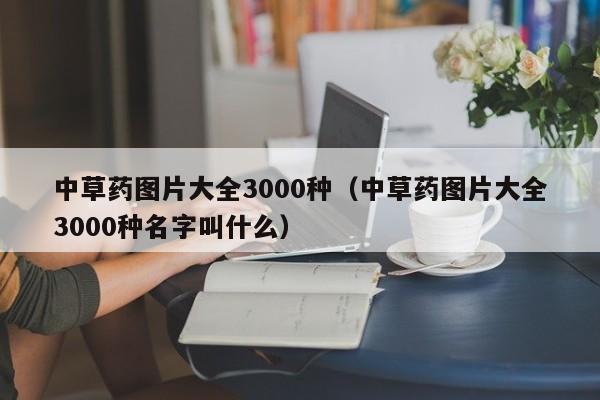 中草药图片大全3000种（中草药图片大全3000种名字叫什么）