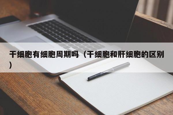 干细胞有细胞周期吗（干细胞和肝细胞的区别）