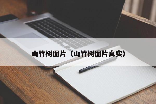 山竹树图片（山竹树图片真实）