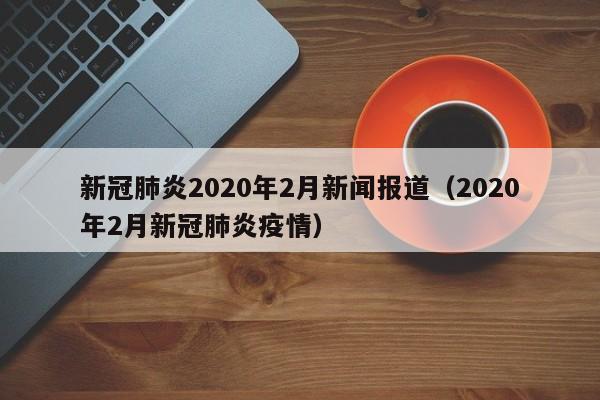 新冠肺炎2020年2月新闻报道（2020年2月新冠肺炎疫情）