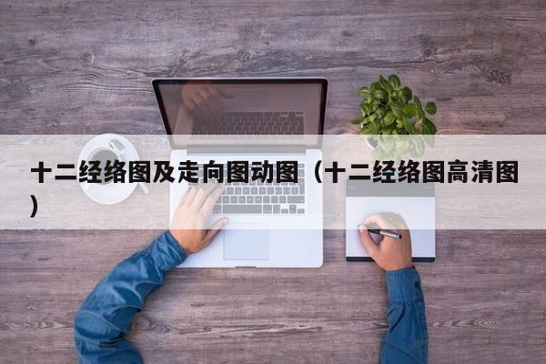 十二经络图及走向图动图（十二经络图高清图）