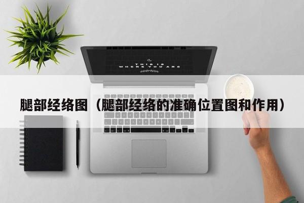 腿部经络图（腿部经络的准确位置图和作用）