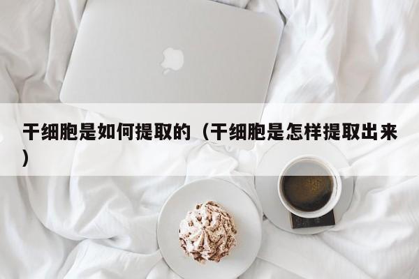 干细胞是如何提取的（干细胞是怎样提取出来）