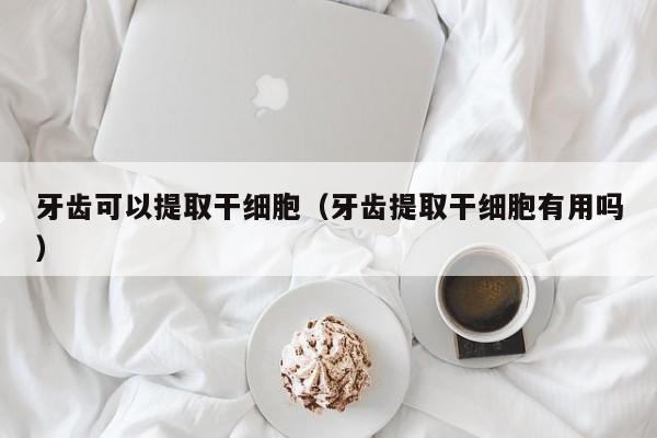 牙齿可以提取干细胞（牙齿提取干细胞有用吗）