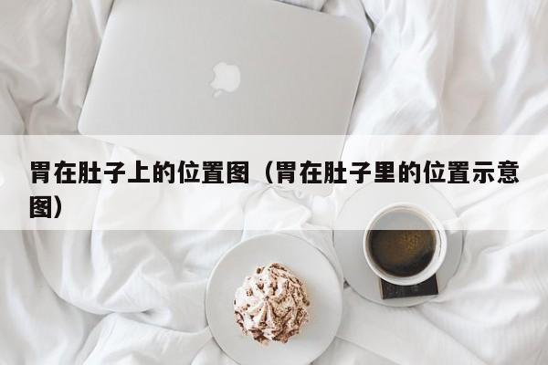 胃在肚子上的位置图（胃在肚子里的位置示意图）