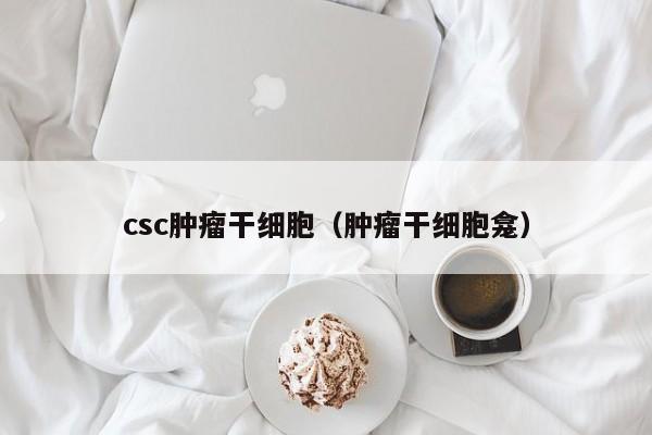 csc肿瘤干细胞（肿瘤干细胞龛）