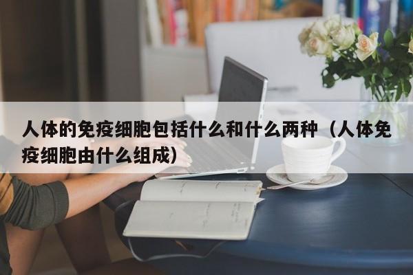 人体的免疫细胞包括什么和什么两种（人体免疫细胞由什么组成）