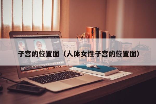 子宫的位置图（人体女性子宫的位置图）